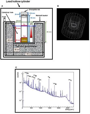 Underground Radiobiology: A Perspective at Gran Sasso National Laboratory